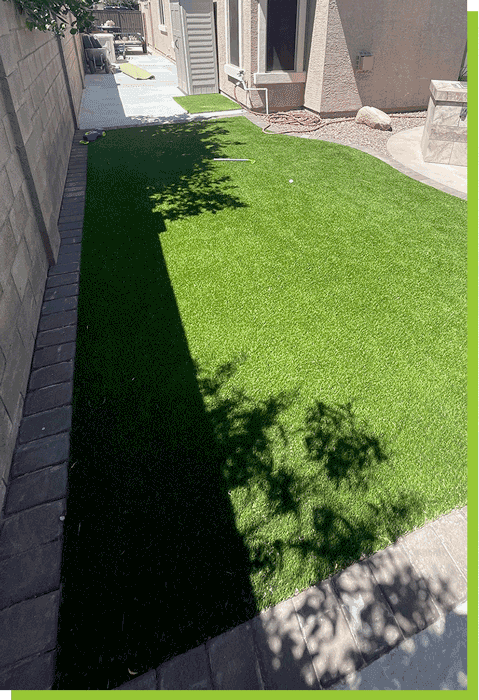 always-green-grass-backyard