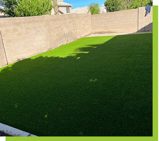 always-green-grass-with-amazing-lawn