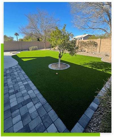 always-green-turf-backyard-lawn-with-trees