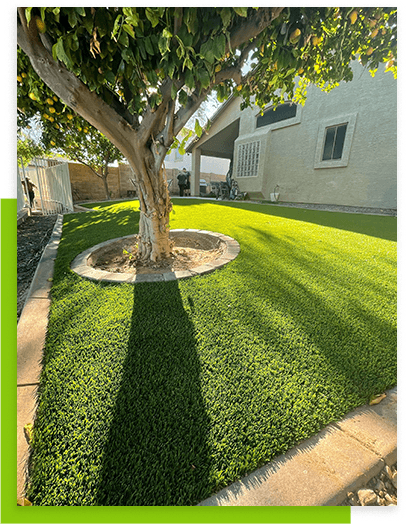 always-green-turf-yard-with-tree-and-bricks