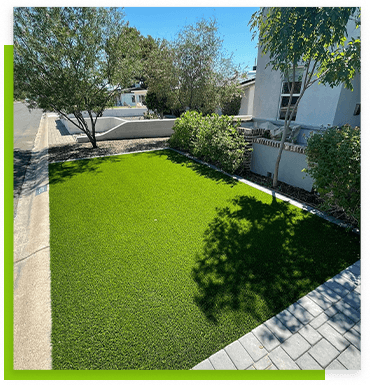 backyard-green-grass-lawn