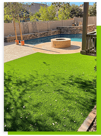 backyard-pool-lawn-tree