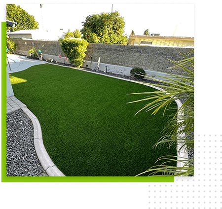 backyard-trees-and-bushes