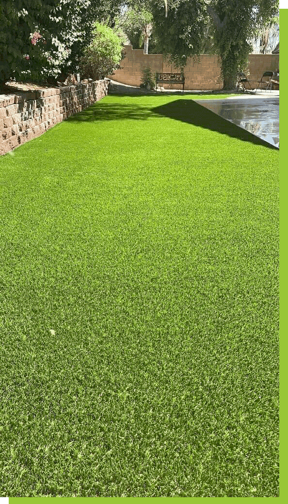 beautiful-grass-lawn-with-bushes-and-trees