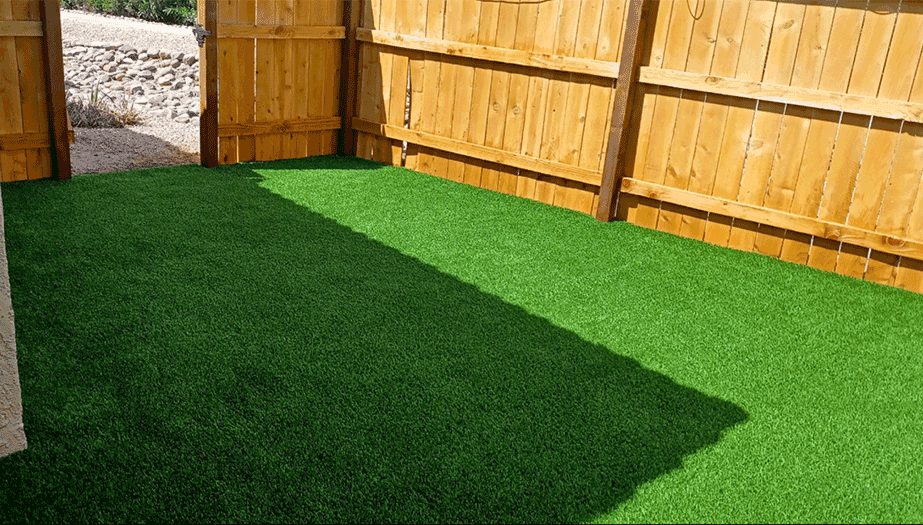 can-you-put-artificial-grass-next-to-real-grass-tips-and-tricks