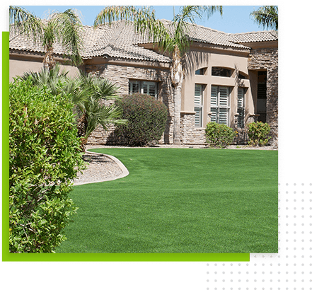 chandler-front-lawn-bushes-and-trees
