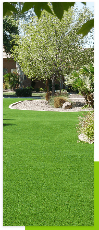 chandler-lawn-tree-service-area-chandler