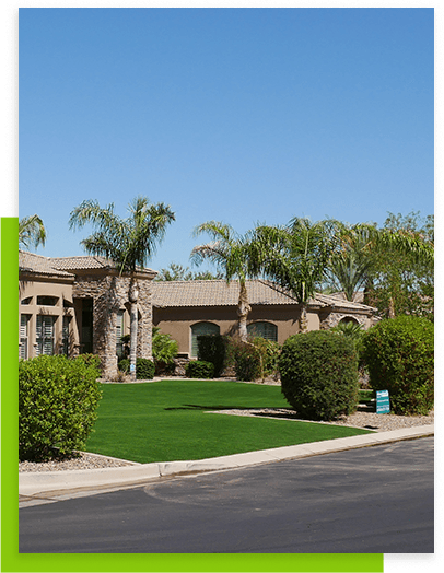 front-lawn-green-grass