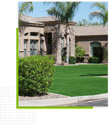 front-view-house-bush