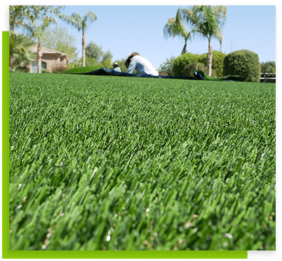 glendale-close-up-green-grass