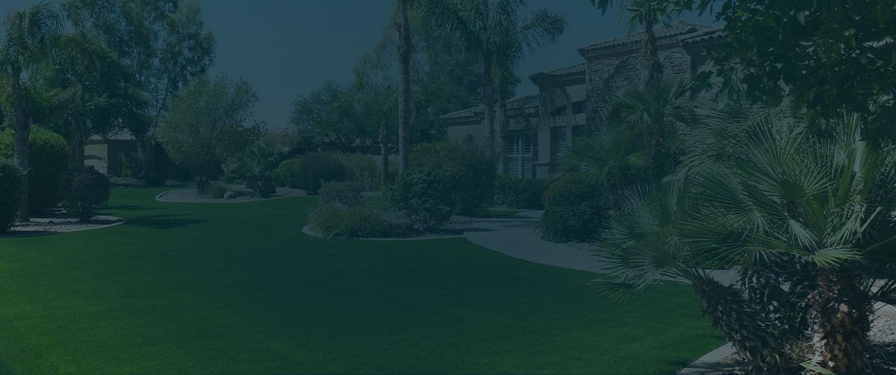 glendale-hero-service-area-avondale