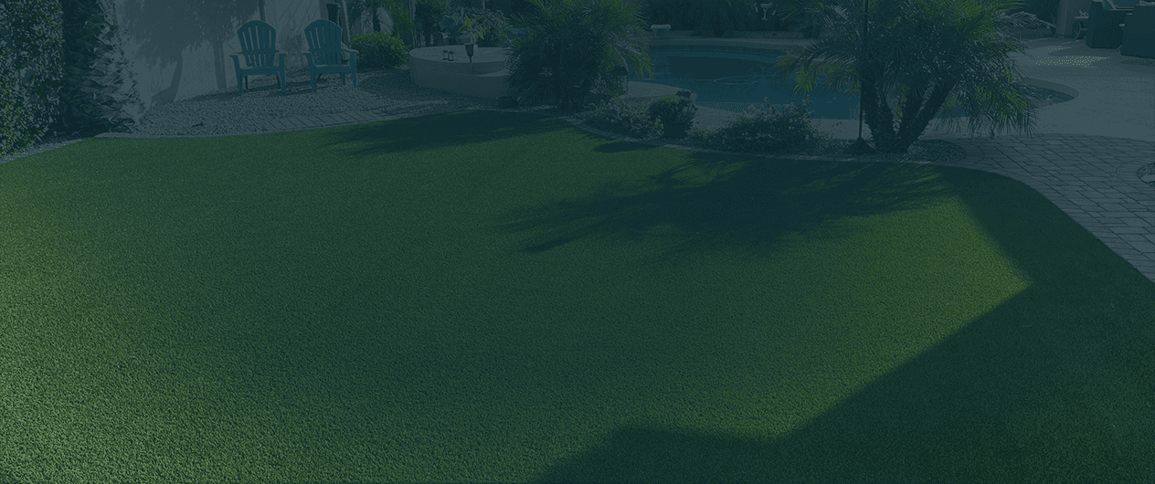 goodyear-hero-service-area-goodyear