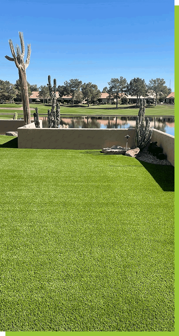 grass-with-cactus-and-lake