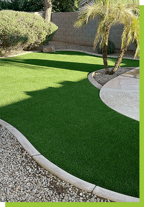 green-grass-bush-trees