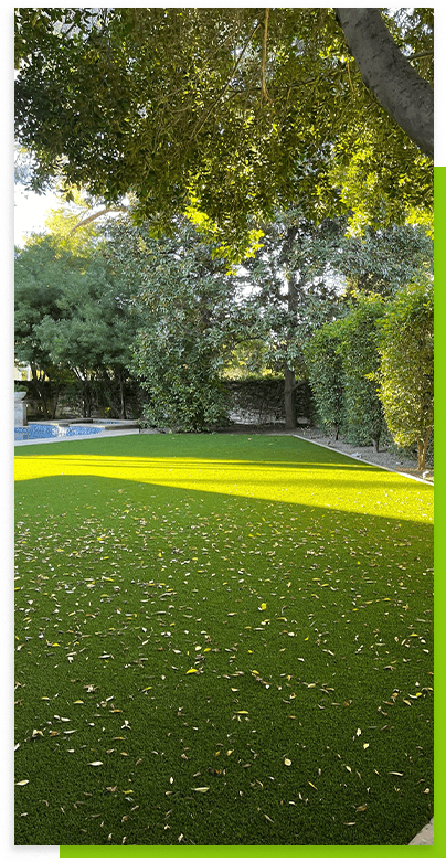 green-grass-lawn-with-fallen-leaves