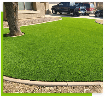 green-lawn-with-tree