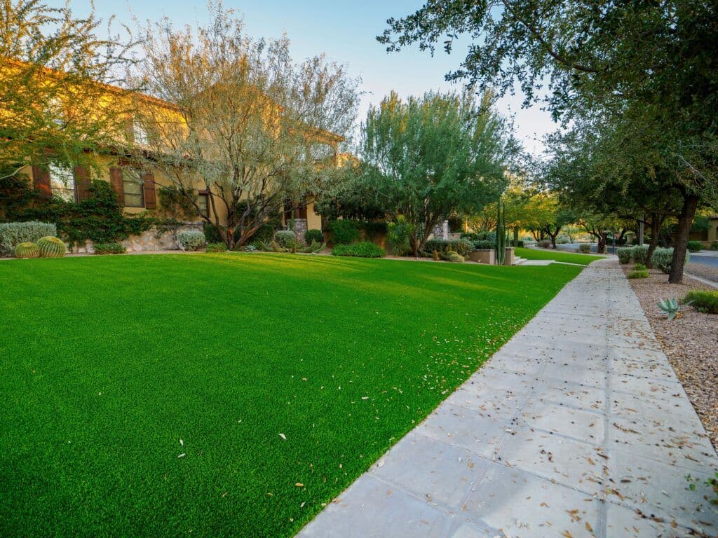 green-turf-backyard-min-1024x768