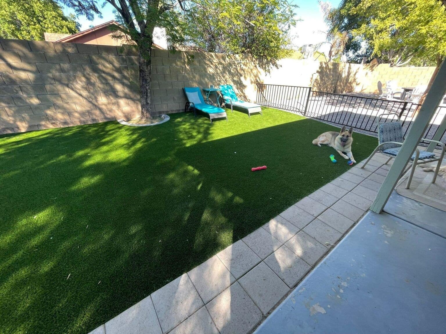 happy-dog-in-the-yard-with-synthetic-grass-min-1536x1152