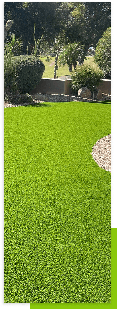 hill-of-green-grass-and-bushes