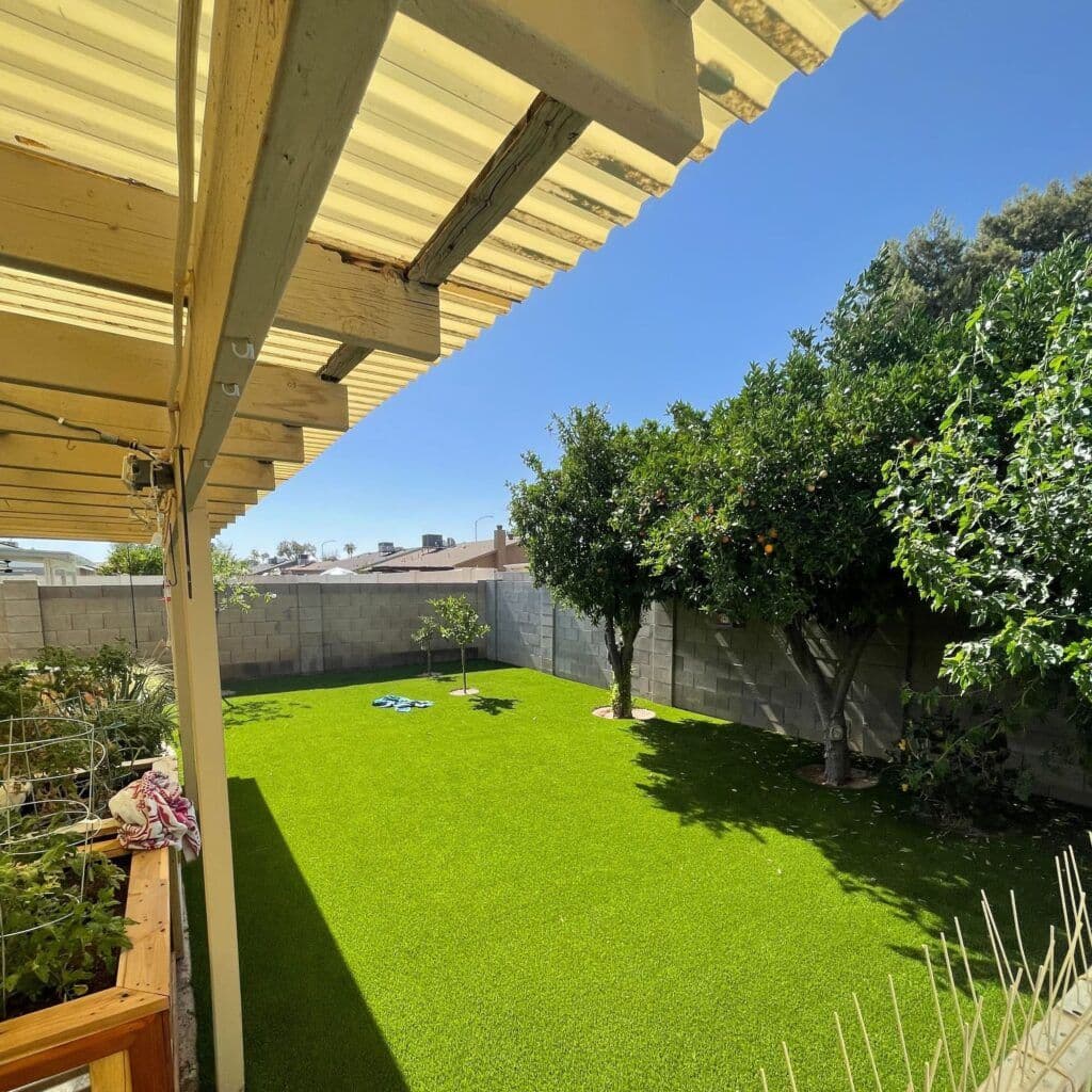 Image-from-iOS.z1653092705_batcheditor_fotor-min-min-1024x1024