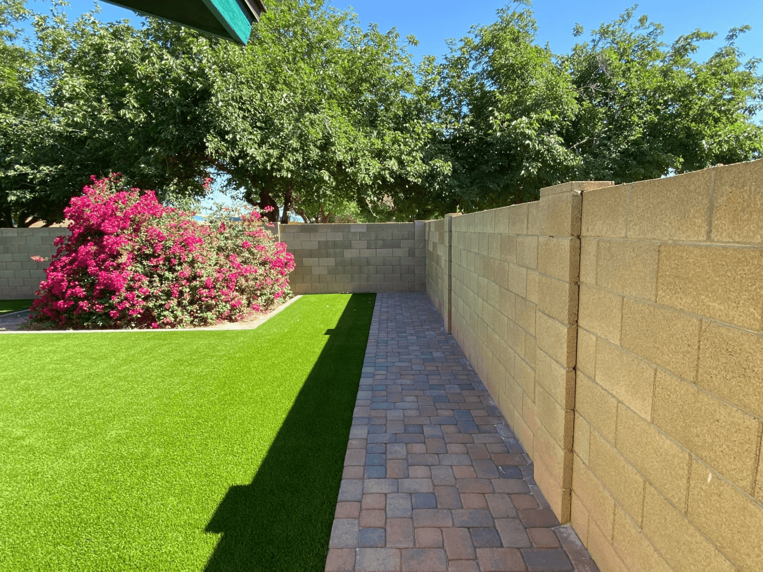 Image-from-iOS.z1653436598_batcheditor_fotor-1536x1152