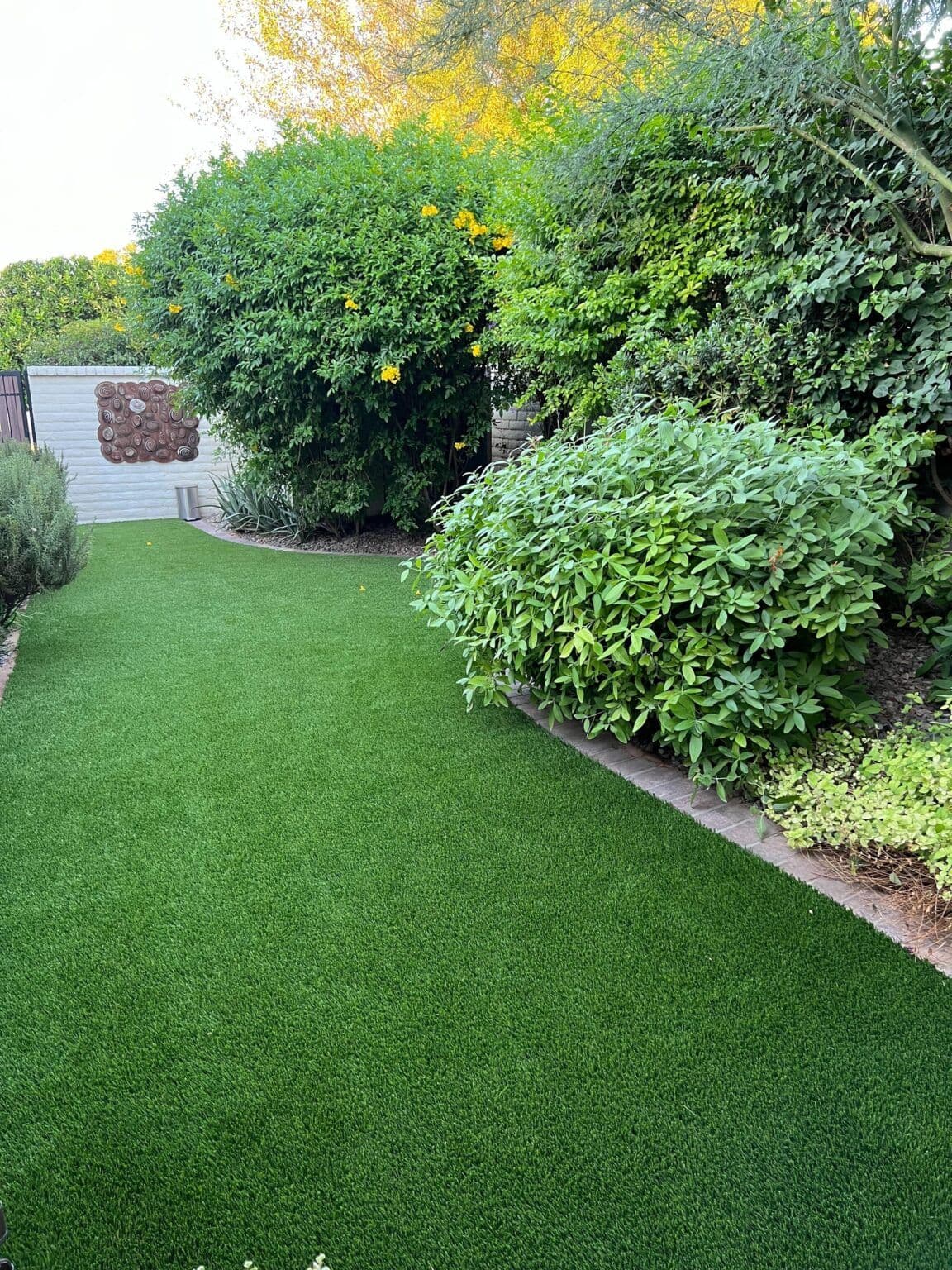 lawn-care-litchfield-park-1152x1536