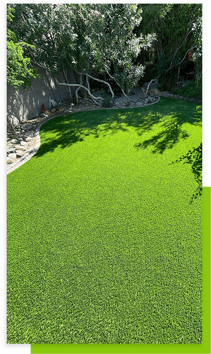 lawn-trees-with-shadow