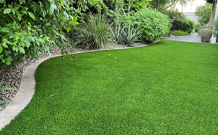 lush-green-yard
