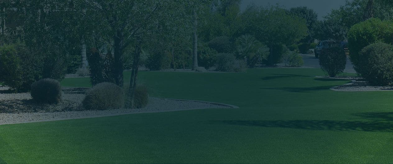 mesa-hero-banner-service-area-queen-creek