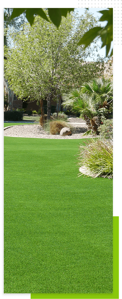 peoria-lawn-and-trees