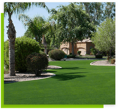 peoria-street-lawn-and-trees