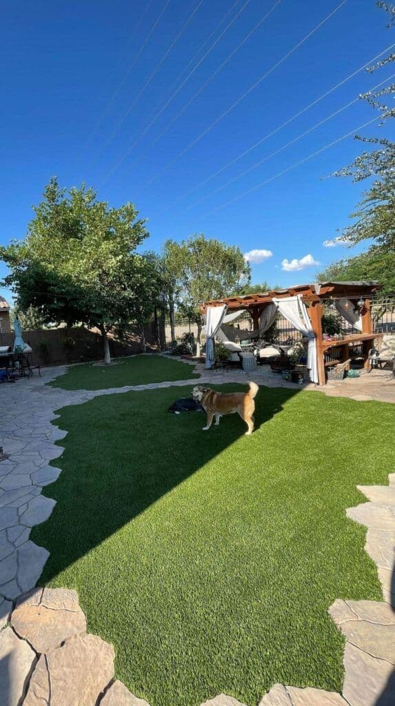 pets-playing-in-the-yard-min-573x1024