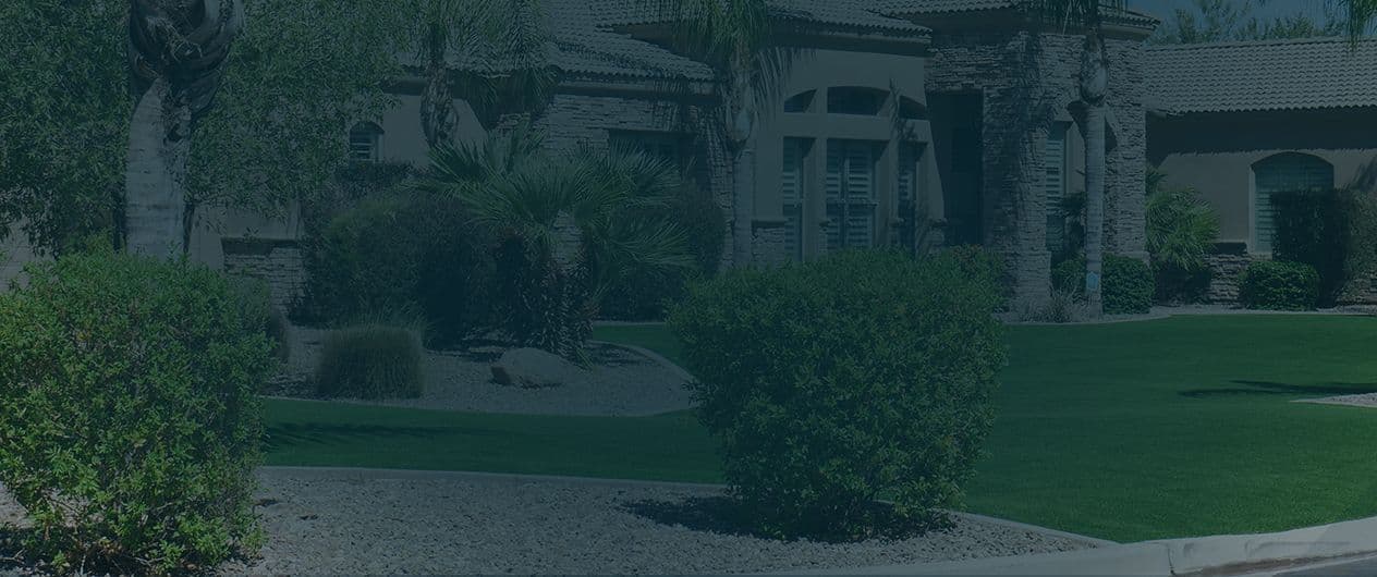 phoenix-hero-banner-service-area-phoenix