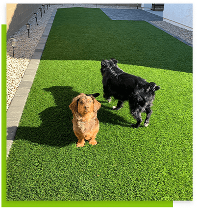 safe-synthetic-grass-for-pet-areas-athletics