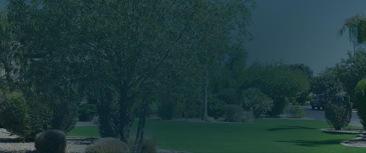 scottsdale-service-area-scottsdale