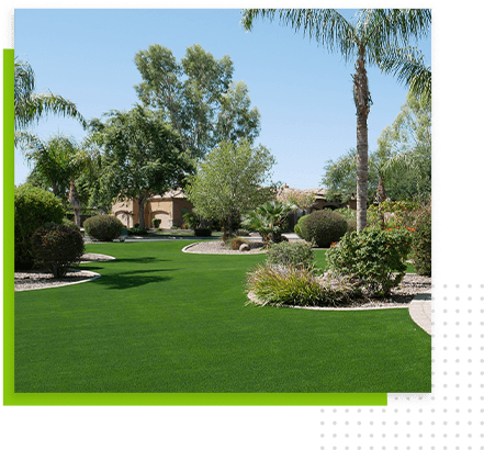 sun-city-lawn-trees-and-bushes