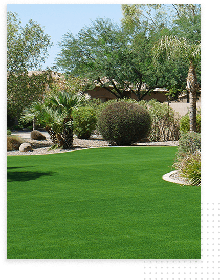 sun-city-lawn-with-bushes