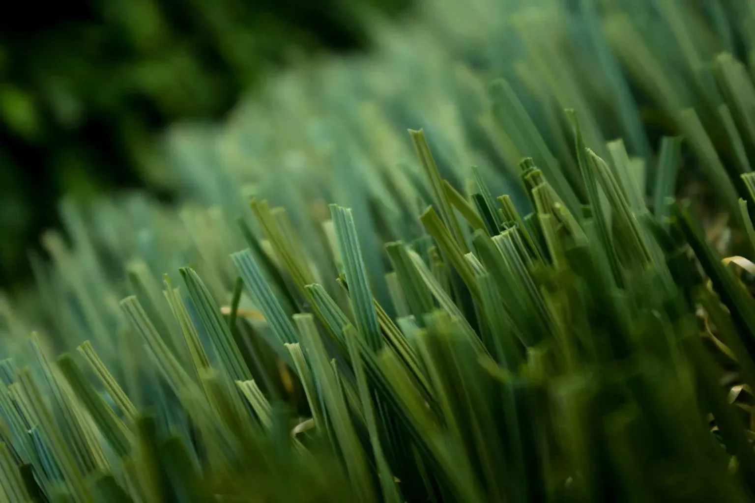 turfSlide.jpg-1536x1024