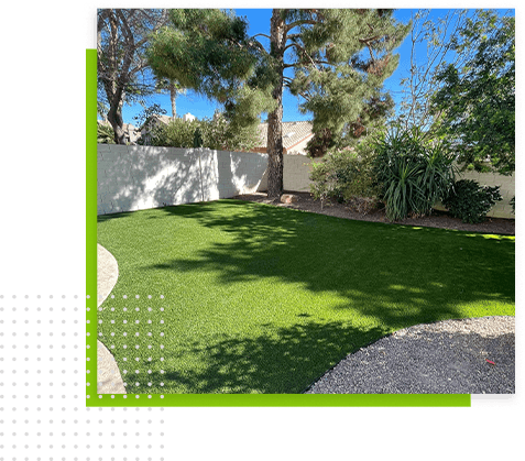 yard-next-to-trees-with-shade