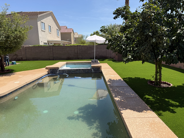 Shade trees over artificial turf in an Arizona backyard
