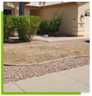 A dry grassless front yard | Always Green Turf - Premier Provider of Artificial Grass & Turf in the Phoenix, Arizona area