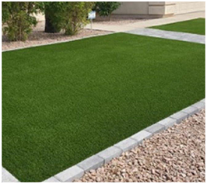 Beautiful green lawn in the front yard | Always Green Turf - Premier Provider of Artificial Grass & Turf in the Phoenix, Arizona area