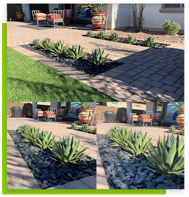 Synthetic grass with concrete road | Always Green Turf - Premier Provider of Artificial Grass & Turf in the Phoenix, Arizona area
