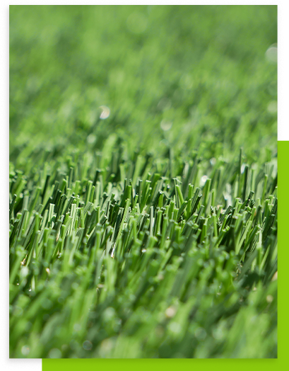 Extremely close up of grass