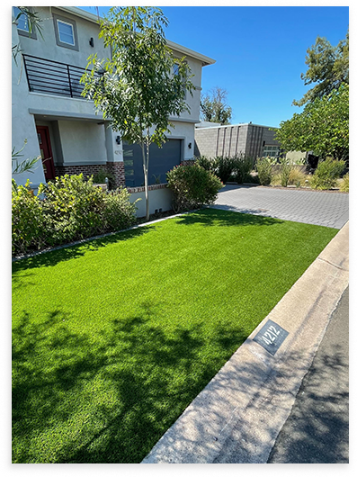 Front Yard Lawn and sidewalk