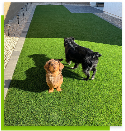 Safe, Synthetic Grass for Pet Areas & Athletics