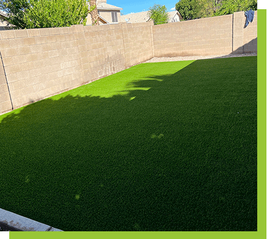 Amazing lawn with Always Green Grass