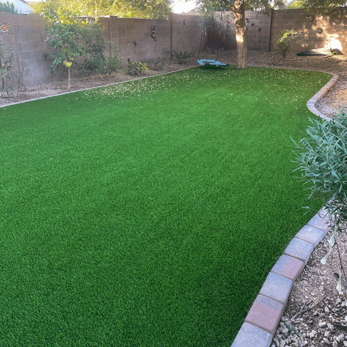 Always Green Turf | Lush Green Grass Backyard