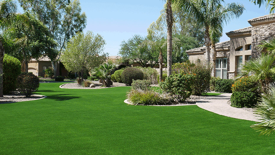 Always Green Turf | Importance of water conservation in the southwest hero