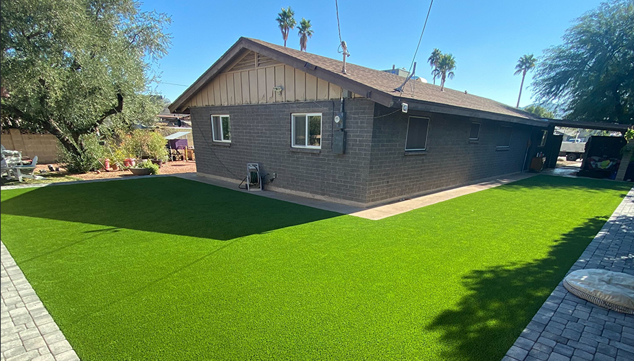 Always Green Grass | house with lawn